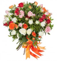 Bouquet of 25 multi-colored spray roses