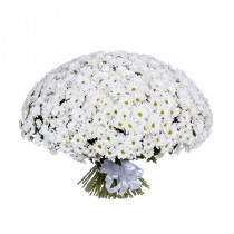 Bouquet of 101 white spray chrysanthemums